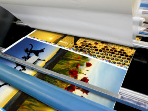 Premium-Fotodrucke - Großformat